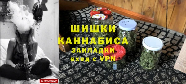 крисы Бугульма